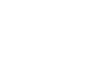 Logo Blanc