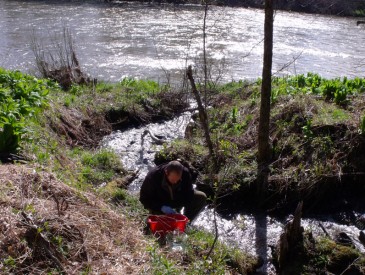 Analyse d'eau