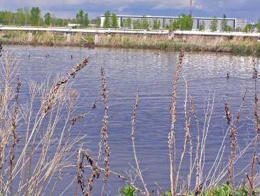 Analyse environnement