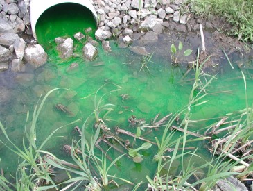 Analyse environnement