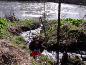 Analyse environnement