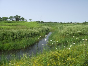 Analyse environnement