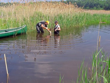 Analyse environnement