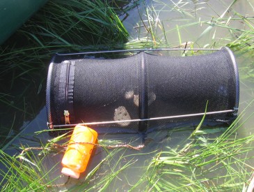 Analyse environnement
